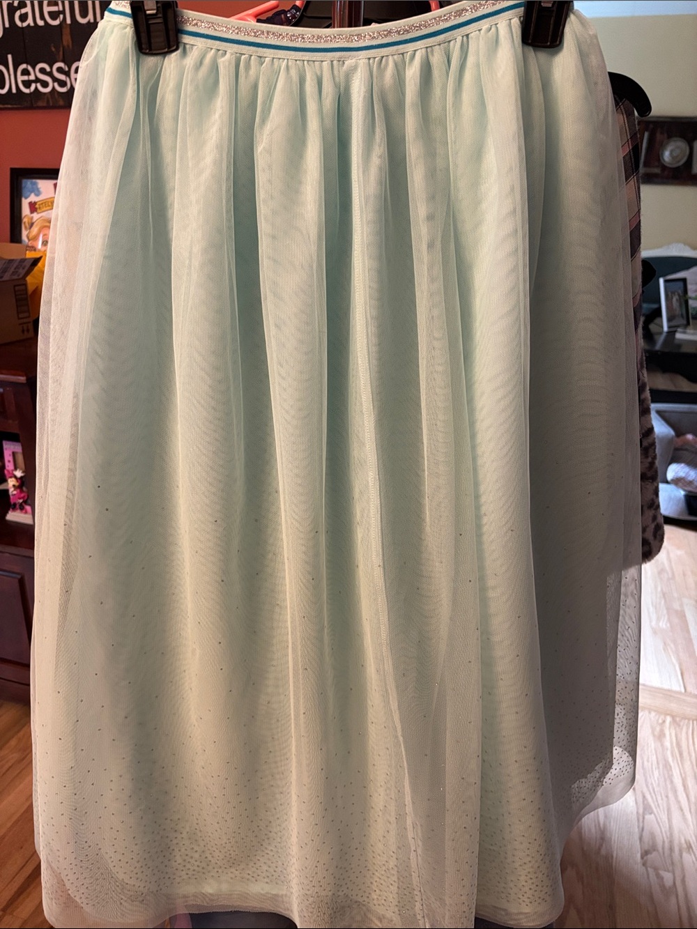 Cat & Jack Light Mint Tulle Skirt with Sparkle Trim